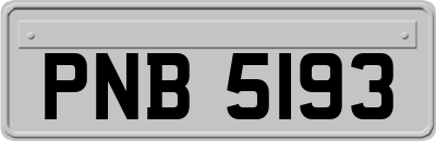 PNB5193