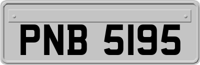 PNB5195