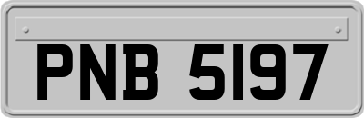 PNB5197