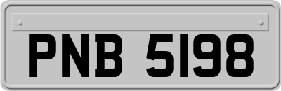 PNB5198