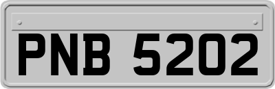PNB5202