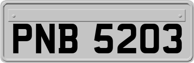 PNB5203