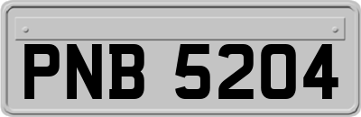 PNB5204