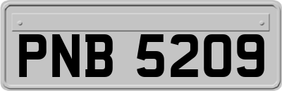 PNB5209