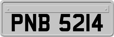 PNB5214