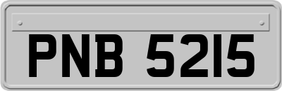 PNB5215