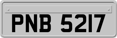 PNB5217