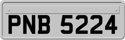 PNB5224