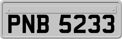 PNB5233