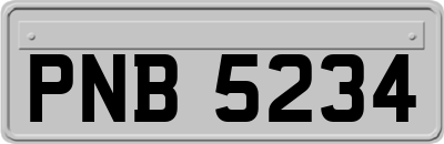 PNB5234
