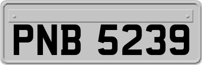 PNB5239