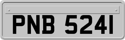 PNB5241