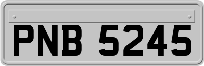 PNB5245