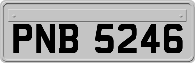 PNB5246