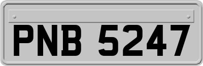 PNB5247
