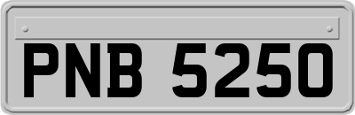 PNB5250