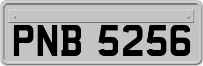 PNB5256