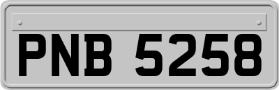 PNB5258