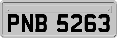 PNB5263