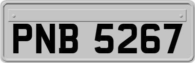 PNB5267