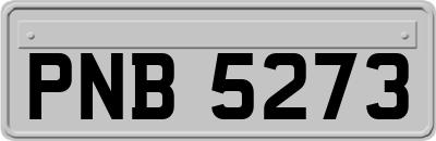 PNB5273