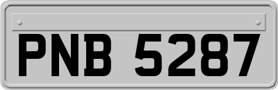 PNB5287