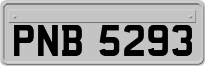 PNB5293