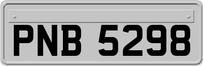 PNB5298