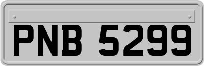 PNB5299