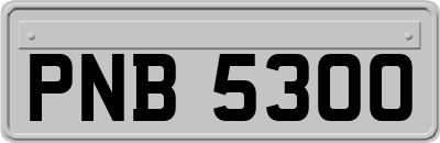 PNB5300