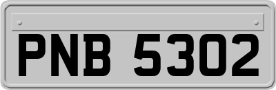 PNB5302