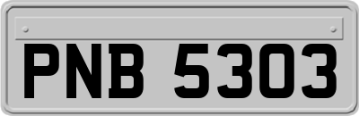 PNB5303
