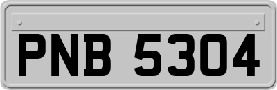 PNB5304