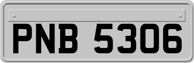 PNB5306
