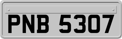 PNB5307