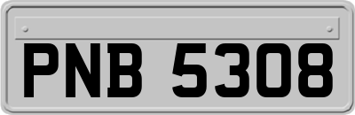 PNB5308