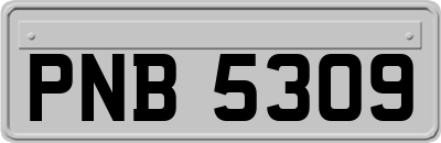PNB5309