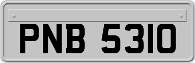 PNB5310