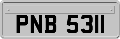 PNB5311