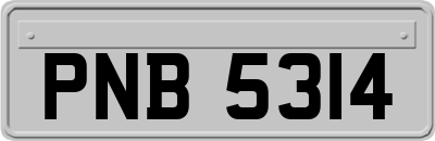 PNB5314