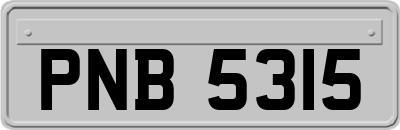 PNB5315