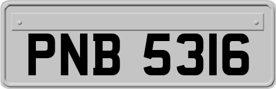 PNB5316
