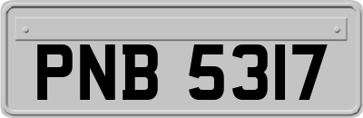 PNB5317