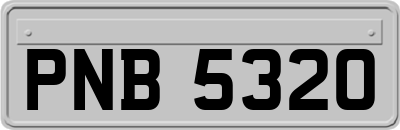PNB5320