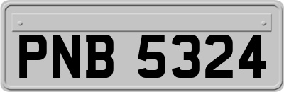 PNB5324