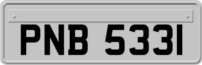 PNB5331