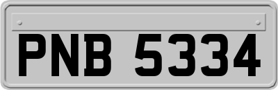 PNB5334