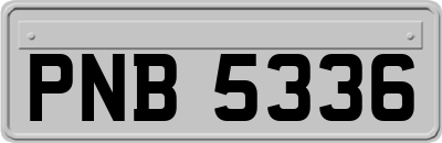 PNB5336