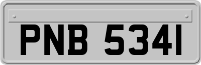 PNB5341