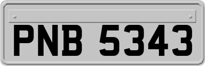 PNB5343